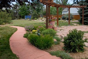 Inspired Native Grass Backyard